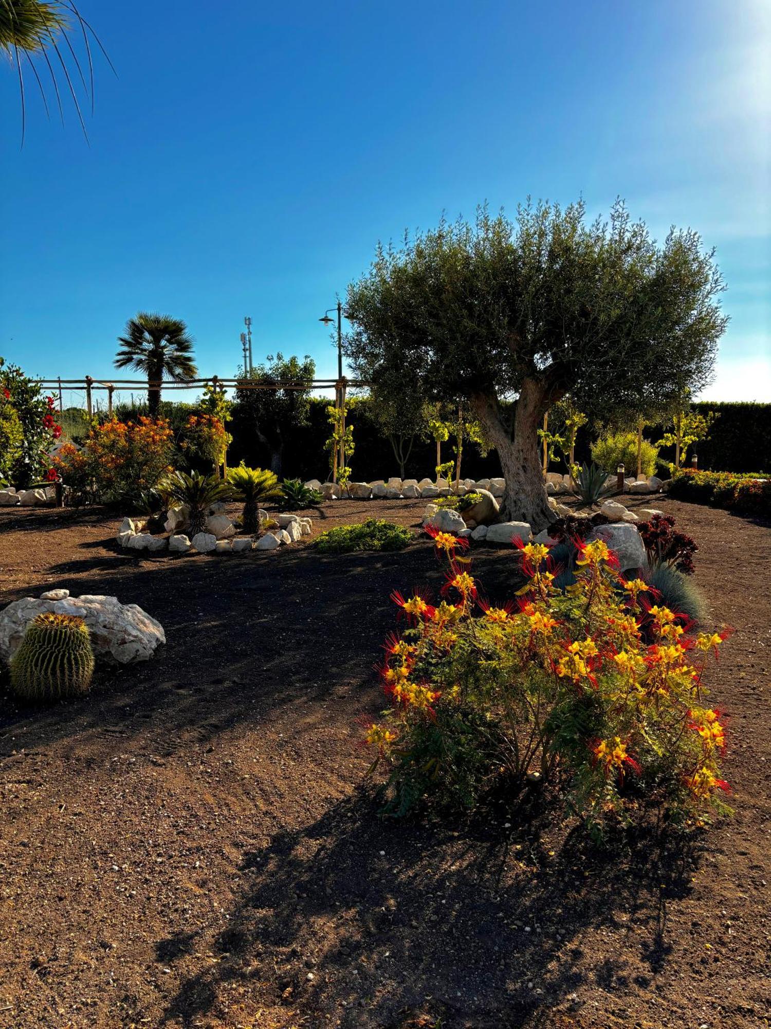 Terranura Bed & Breakfast Reitani Exterior photo